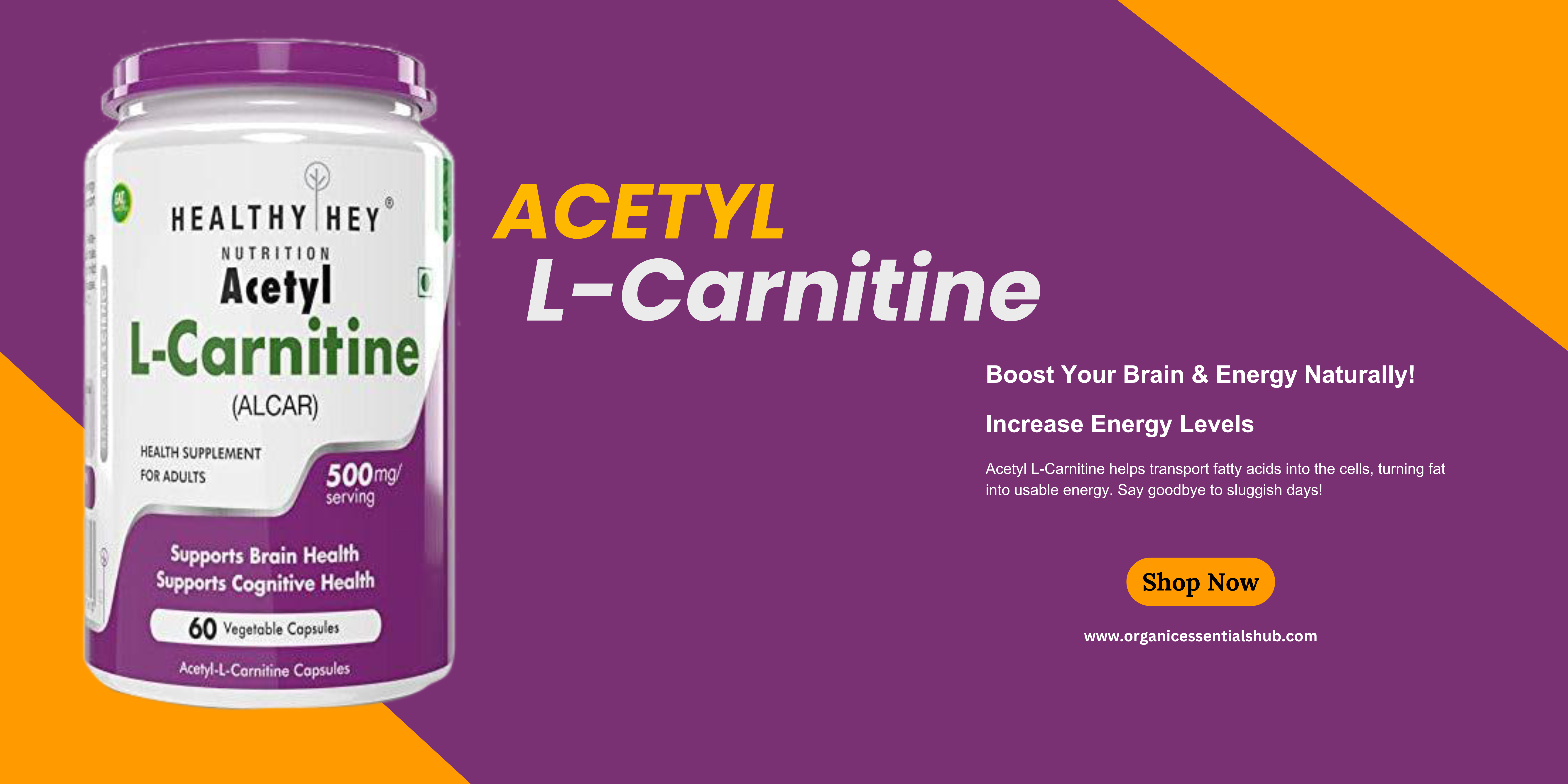 Acetyl L-Carnitine benefits