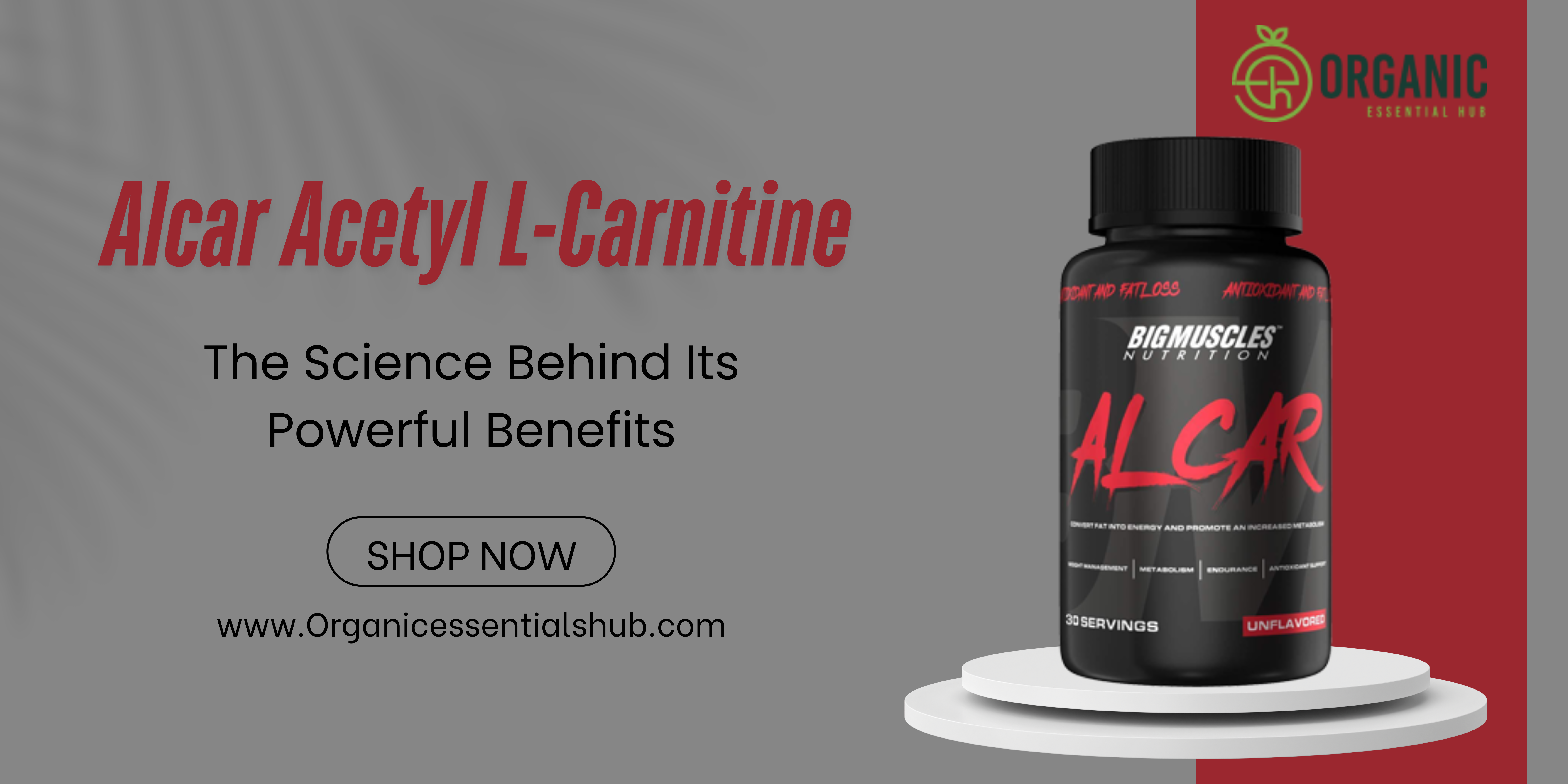 Alcar Acetyl L-Carnitine