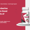 berberine supplements